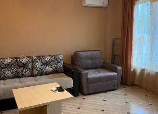 Сдам в аренду квартиру студию, 33 м2, Краснодарский край, улица Просвещения, 84
