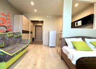 Квартира в аренду студия, 30 м2, Новосибирская область, улица Ленина, 23А