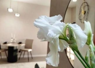 Сдаю в аренду однокомнатную квартиру, 30 м2, Барнаул, проспект Строителей, 18к1, Железнодорожный район
