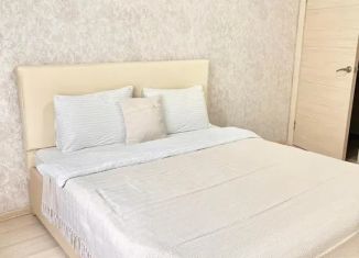 2-ком. квартира в аренду, 46 м2, Пермь, улица Пушкина, 23