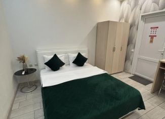 Сдаю в аренду 1-комнатную квартиру, 10 м2, Курская область, улица Челюскинцев, 9