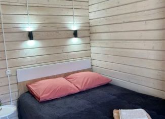 Аренда дома, 17 м2, Республика Алтай, проспект Мира, 24