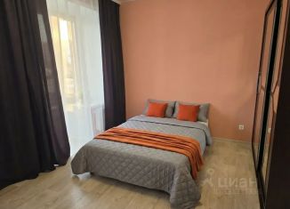 1-комнатная квартира в аренду, 30 м2, Архангельская область, улица Ломоносова, 79к5
