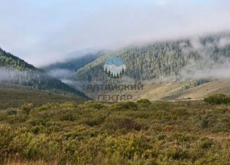 Продажа земельного участка, 500 сот., Алтайский край