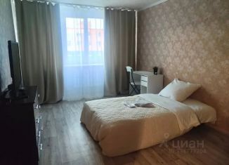 Сдам в аренду 1-ком. квартиру, 47 м2, Удачный, микрорайон Новый Город, 20