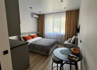Сдается в аренду квартира студия, 17 м2, Старый Оскол, микрорайон Макаренко, 41А