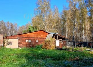 Продажа участка, 5 сот., село Майма, улица Строителей