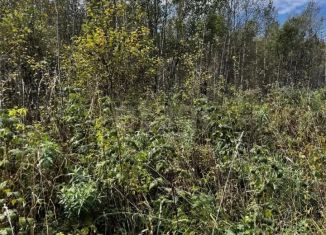 Продаю земельный участок, 10 сот., село Артыбаш, Пихтовая улица, 17