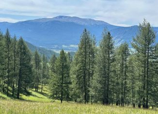 Продаю участок, 49 сот., Республика Алтай