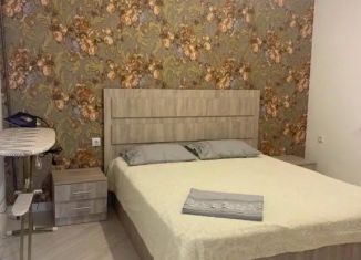 Сдам в аренду однокомнатную квартиру, 60 м2, Дагестан, Молодёжная улица, 1