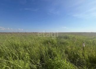 Продам участок, 10 сот., Брянская область, улица Победы