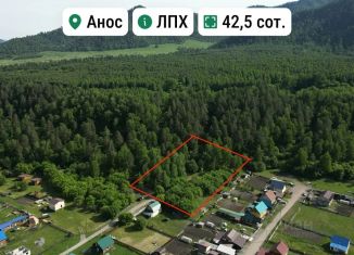 Продается земельный участок, 42.5 сот., Республика Алтай, Центральная улица, 41