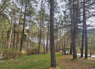 Продам земельный участок, 38.78 сот., Республика Алтай, Уожанская улица