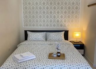 Аренда 1-ком. квартиры, 46 м2, Адыгея, улица Чкалова, 65
