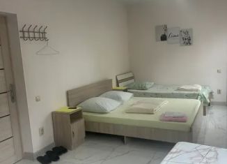 Сдам в аренду комнату, 30 м2, Ставропольский край, СНТ Прогресс, 40