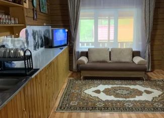 Сдается в аренду дом, 140 м2, село Артыбаш, Юртокская улица, 56