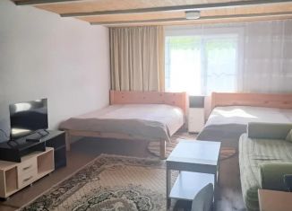Комната в аренду, 32 м2, село Чемал, Катунская улица, 29Б
