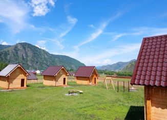 Сдаю в аренду дом, 20 м2, Республика Алтай, Полевая улица, 13