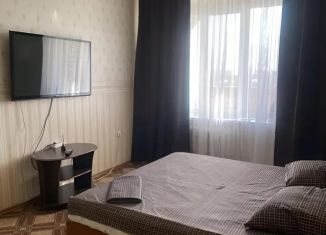 Аренда однокомнатной квартиры, 50 м2, Брянск, улица Пушкина, 33, Володарский район