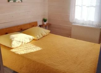 Комната в аренду, 36 м2, Республика Алтай