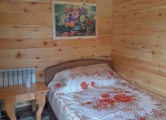 Сдача в аренду дома, 20 м2, Республика Алтай, Молодёжная улица, 4