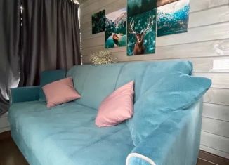 Сдача в аренду дома, 24 м2, Республика Алтай, Озёрная улица, 3