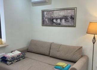Квартира в аренду студия, 25 м2, Адыгея, улица К.А. Васильева, 2/1