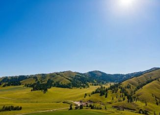 Продаю земельный участок, 25 сот., Республика Алтай