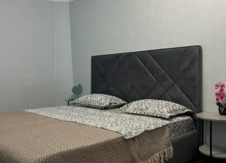 Сдается в аренду 1-комнатная квартира, 40 м2, Дагестан, улица Гамзата Цадаса, 92