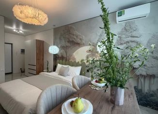 Сдается 1-ком. квартира, 26 м2, Адыгея, улица К.А. Васильева, 2к4