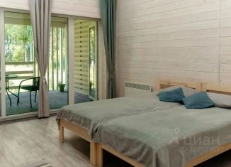 Сдается в аренду однокомнатная квартира, 25 м2, Петрозаводск