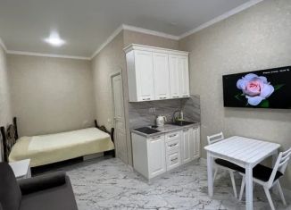 Сдам в аренду квартиру студию, 30 м2, Дагестан, площадь Свободы, 2Д