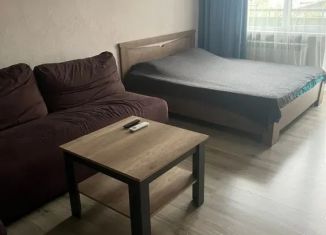 Сдается однокомнатная квартира, 34 м2, Адыгея, улица 12 Марта, 150к1