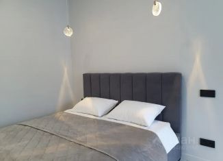 Аренда квартиры студии, 38 м2, Республика Алтай, улица Гидростроителей, 24