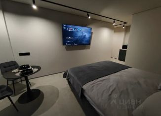 Сдаю в аренду комнату, 24 м2, Татарстан, улица Алафузова, 6