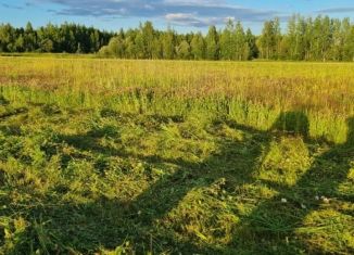 Продаю участок, 195 сот., деревня Большое Верево
