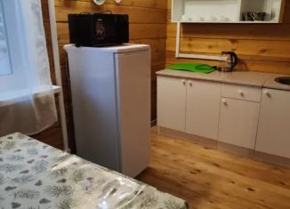 Сдается в аренду дом, 36 м2, Иркутская область, Таёжная улица, 1