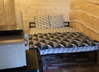 Сдается дом, 30 м2, деревня Осеченки, Графская улица, 17А