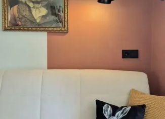 Сдача в аренду квартиры студии, 19 м2, Костромская область, улица Шагова, 8