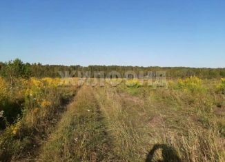 Земельный участок на продажу, 596 сот., Новосибирская область