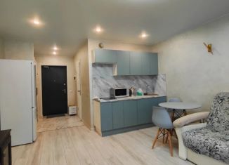 Квартира на продажу студия, 28.5 м2, Московская область, 3-й микрорайон, 10