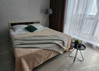 Аренда квартиры студии, 27 м2, Курган, 4-й микрорайон, 33