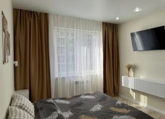 Аренда 1-комнатной квартиры, 37 м2, Иркутская область, Дальневосточная улица, 166/4