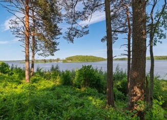 Продаю участок, 20 сот., Ленинградская область