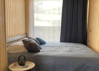 Сдается в аренду дом, 25 м2, Самарская область