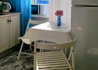 Однокомнатная квартира в аренду, 30 м2, Орловская область, улица Гагарина, 22