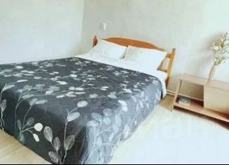 Сдаю в аренду дом, 42 м2, Краснодарский край, улица Белинского, 2