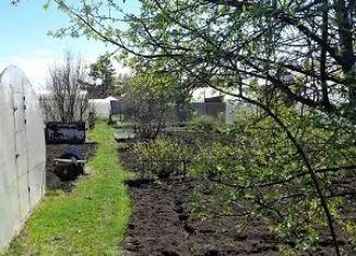 Продам земельный участок, 6.3 сот., Новосибирск, метро Октябрьская, площадь Ленина