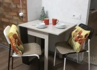 Сдается в аренду однокомнатная квартира, 25 м2, Самарская область, Гаражная улица, 7