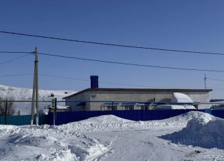 Продажа дома, 195 м2, Татарстан, улица Ленина, 24